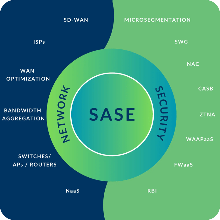 SASE-infographic 1