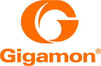 Partner logo for Gigamon